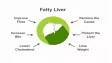 How to Reverse Fatty Liver Naturally: Expert-Recommended Diet Tips