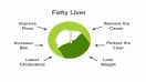 How to Reverse Fatty Liver Naturally: Expert-Recommended Diet Tips