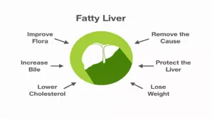 How to Reverse Fatty Liver Naturally: Expert-Recommended Diet Tips