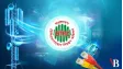 BTRC directs telcos to provide 1GB free internet on July 18
