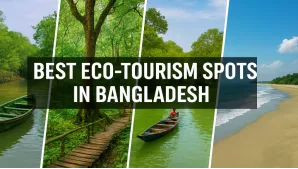 Best Eco-Tourism Spots in Bangladesh: Discover Nature's Wonders