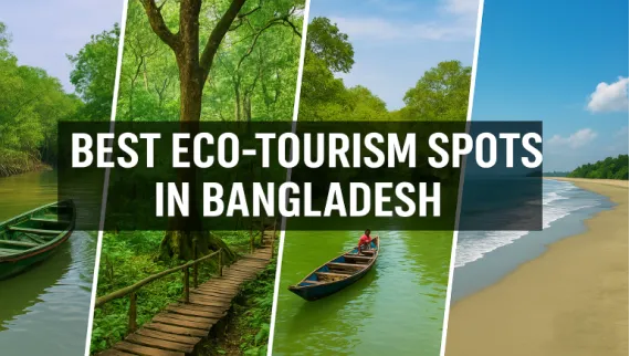 Best Eco-Tourism Spots in Bangladesh: Discover Nature's Wonders