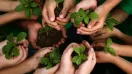 Sustainable Living: Eco-Friendly Lifestyle Choices