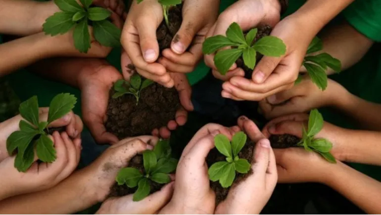 Sustainable Living: Eco-Friendly Lifestyle Choices